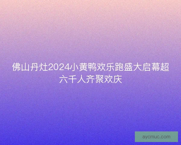 佛山丹灶2024小黄鸭欢乐跑盛大启幕超六千人齐聚欢庆
