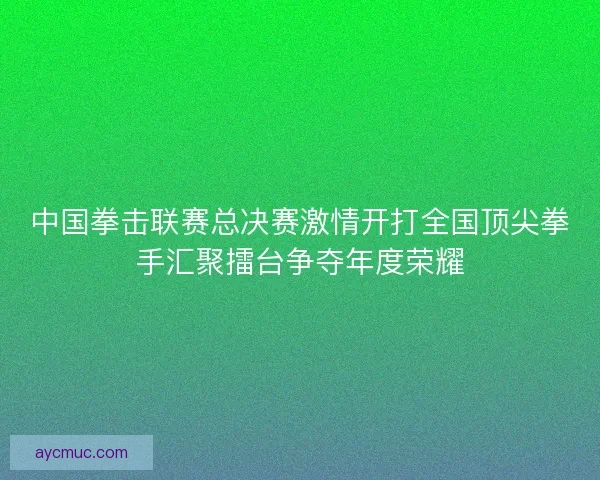 中国拳击联赛总决赛激情开打全国顶尖拳手汇聚擂台争夺年度荣耀
